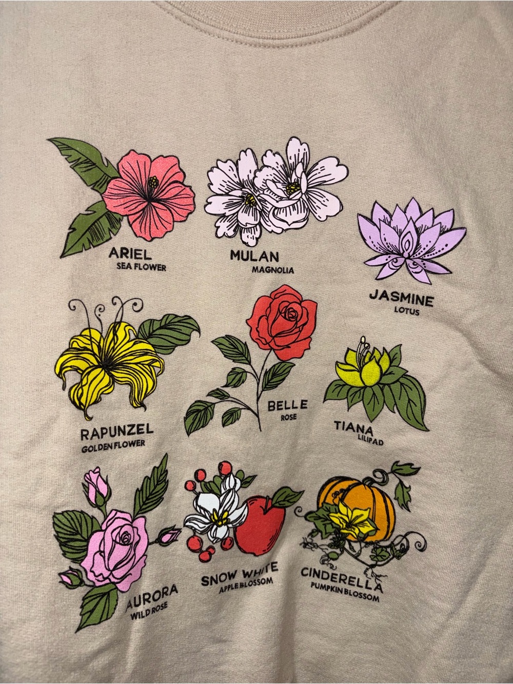 Disney Beige Crewneck Sweatshirt with Flowers as Princess - Picture 4 of 5